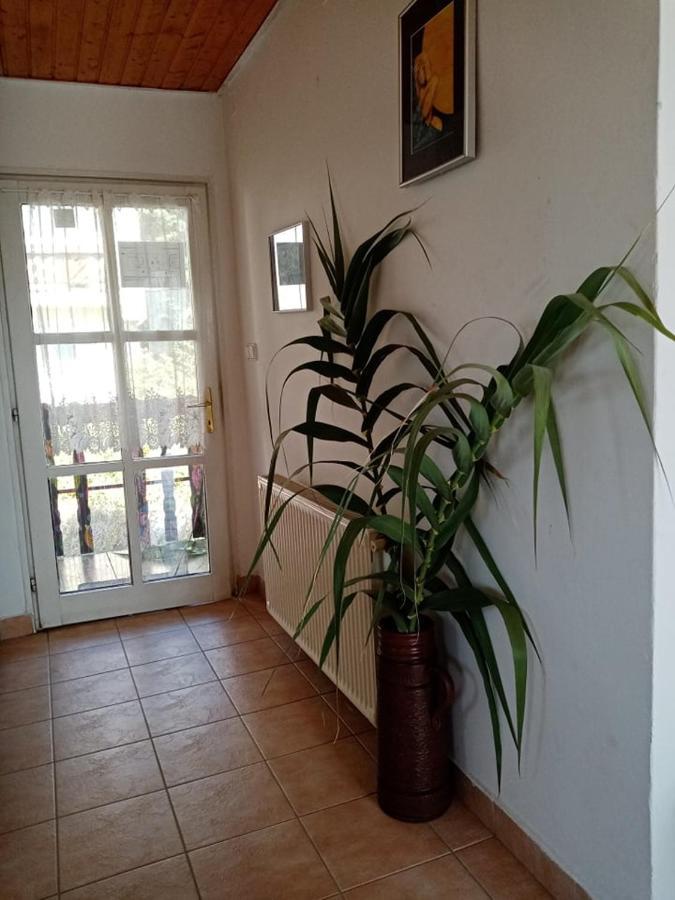 Hotel Kekturas-Tora Nyilo Badacsonyi Privat Berlemeny Badacsonytomaj Exteriér fotografie